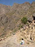 Yemen - From Shahara to valley - 24